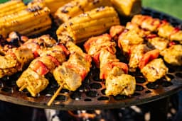 Grill Riser Honey - Tiger Fire Plancha BBQ 88