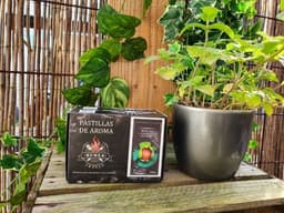 Smoking Wood Pastilles - Walnut/Hickory - Best Charcoal
