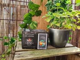 Pastilles de Aroma - Orange Smoking Wood - Best Charcoal