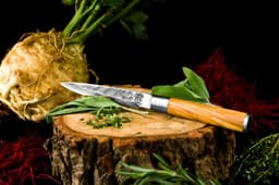 Olive Forged - Utility Knife