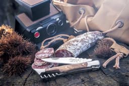 Luxury Line Pocket Knife with Corkscrew Olive Wood