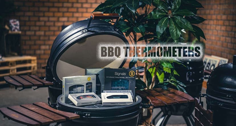 BBQ Thermometer for my kamado, which one should I get?