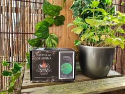 Pastilles de Aroma Räucherholz - Rosmarin - Best Charcoal