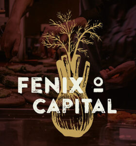 fenix x capital log Fenix x Capital